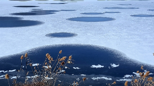 Winter lake suwon of korea west snow Photo