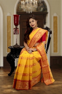 Foto Sari indiano
 modelo em saree
 amarelo