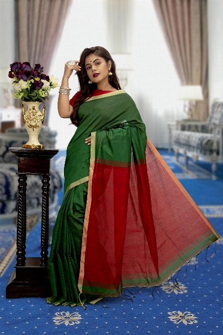 Sari indiano
 modelo em saree
 têxtil