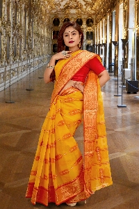 Foto Sari indiano
 modelo em saree
 amarelo