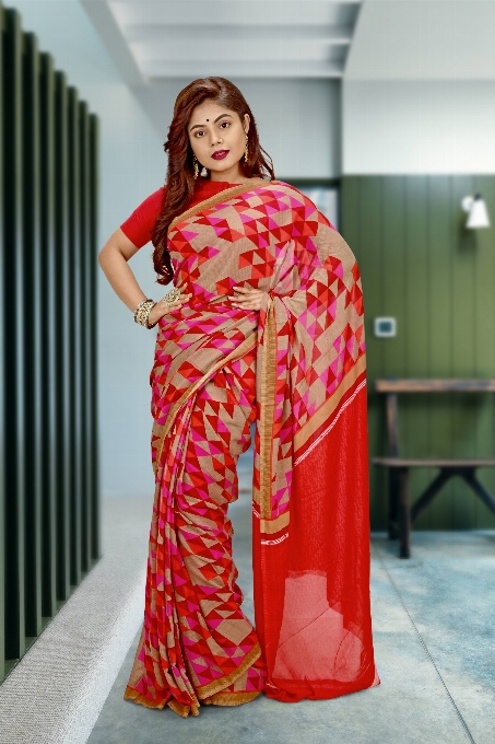 Sari indien
 modèle en sari
 vêtements