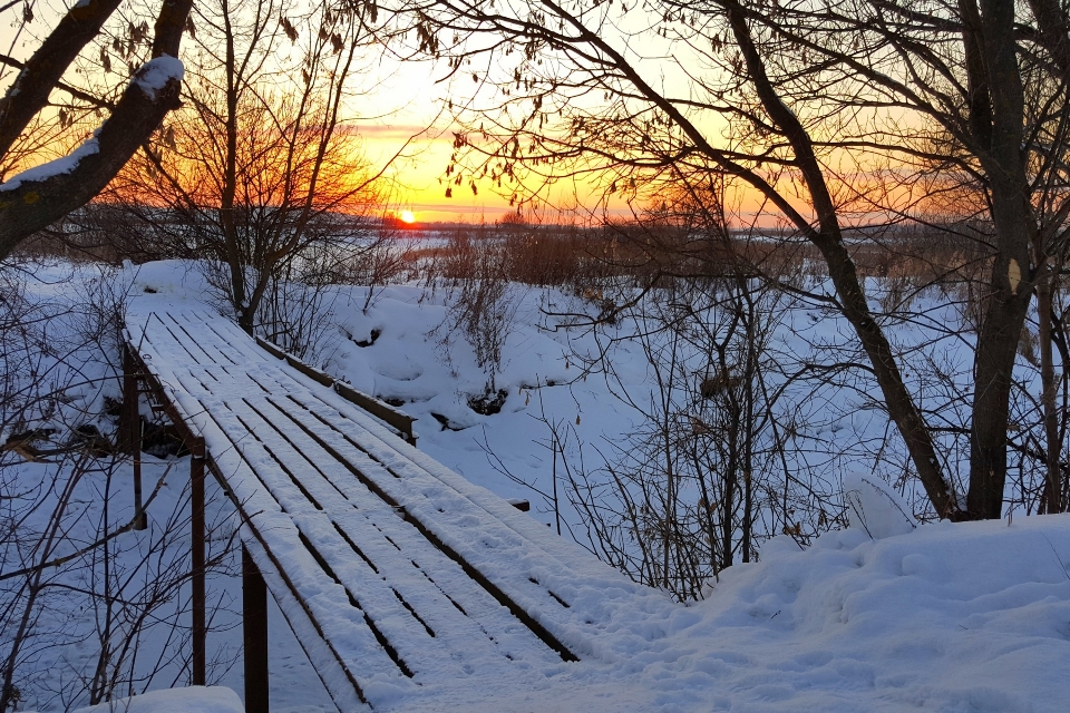 Winter schnee frost kalt