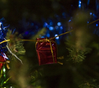 Foto Segredo lar celebração dia