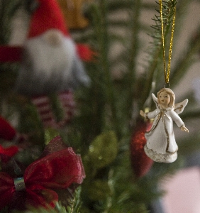 Photo Hiver décoration de noël
 carmin
 noël