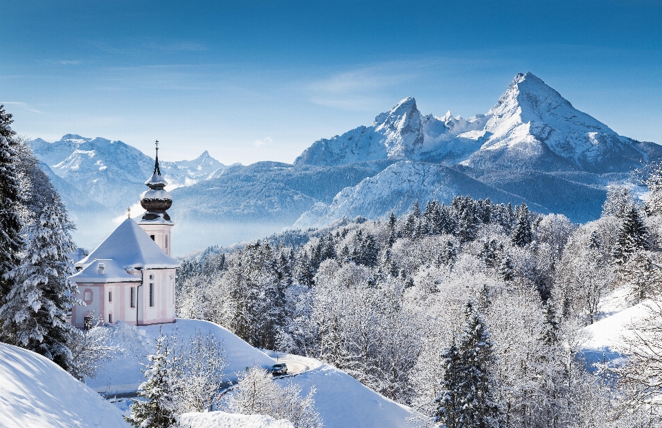 Invierno nieve montaña árbol