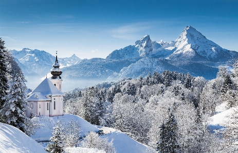 Photo Hiver neige montagne arbre