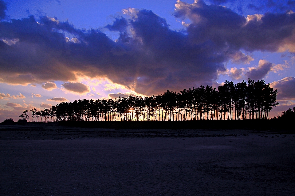 Pantai unyeo korea
 matahari terbenam hutan pinus
