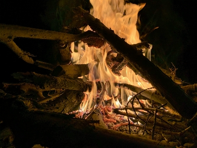 Fire wood bonfire flame Photo