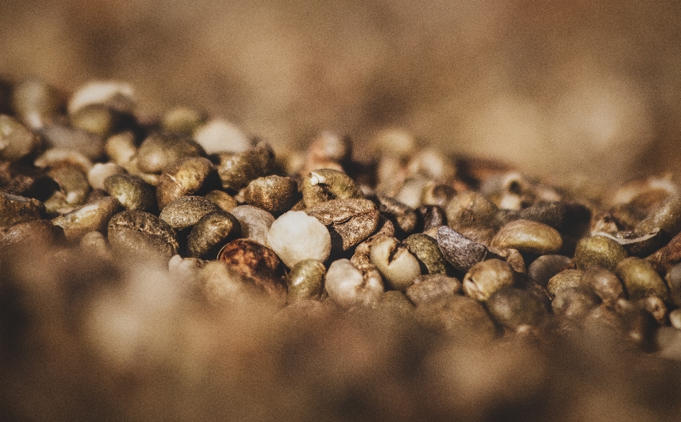 Kopi kacang polong cokelat bahan
