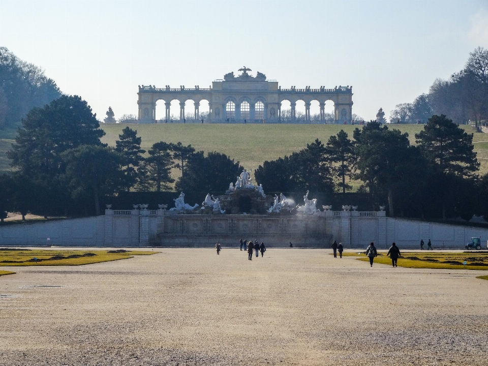 Vienna
 alberi schönbrunn
 austria