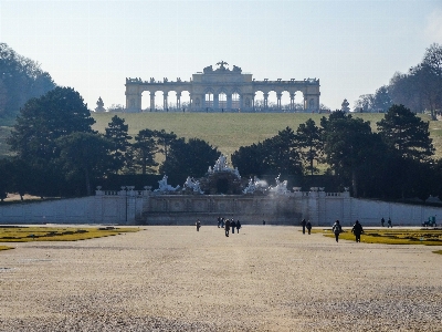 Foto Viena
 árboles schönbrunn
 austria