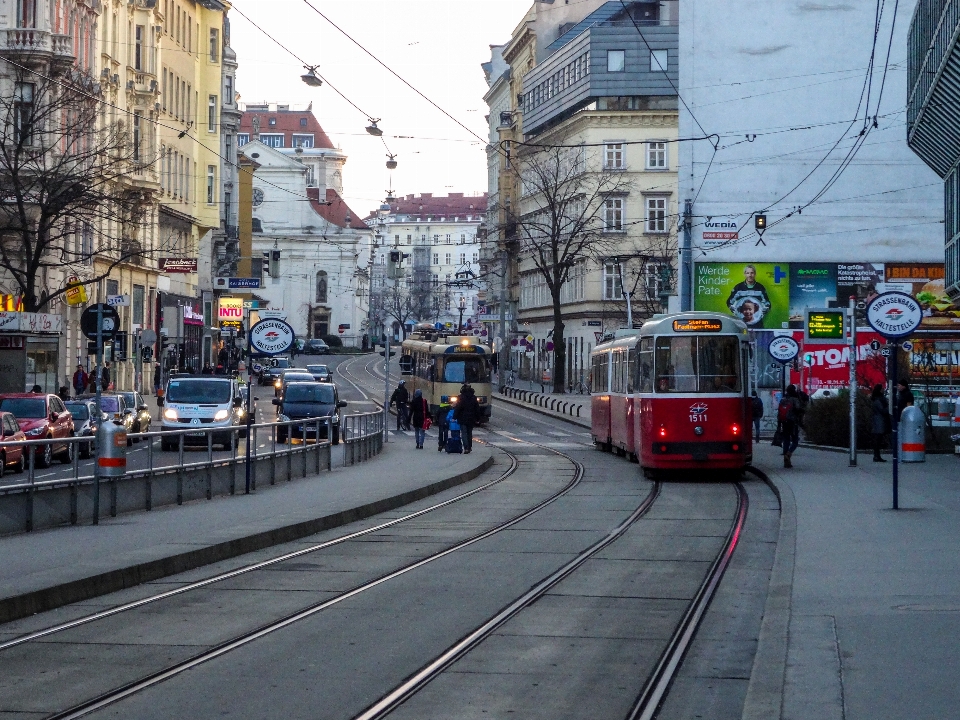 Viena
 calle ciudad austria