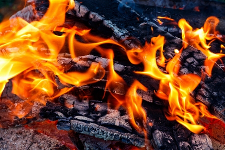 Fire red coals wood Photo