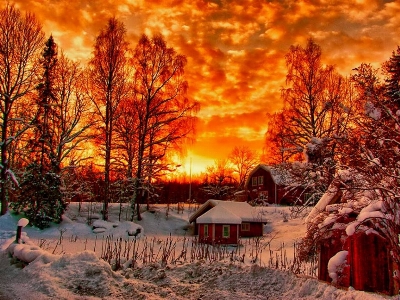 Sunset tree winter snow Photo