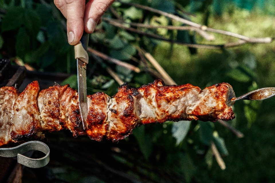 Barbecue carne spiedini cibo