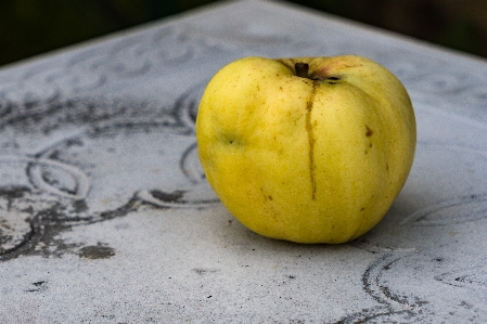 Foto Maçãs fruta verde vermelho