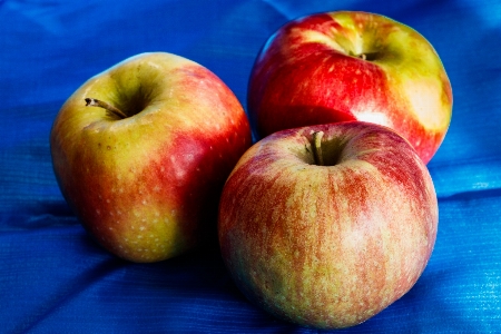 Apples fruit green red Photo