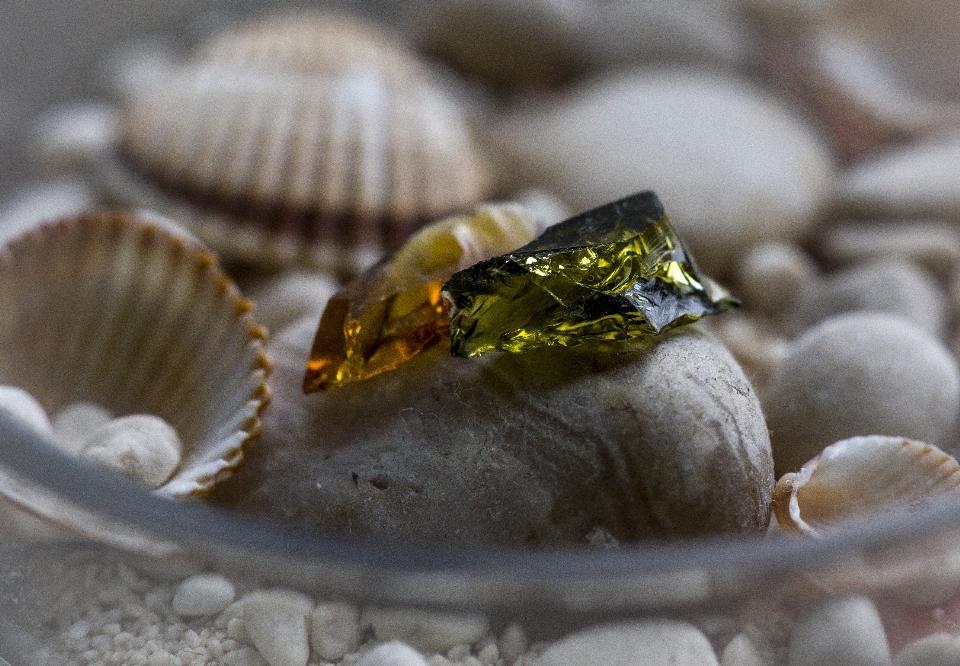 Glass green mussels crystal