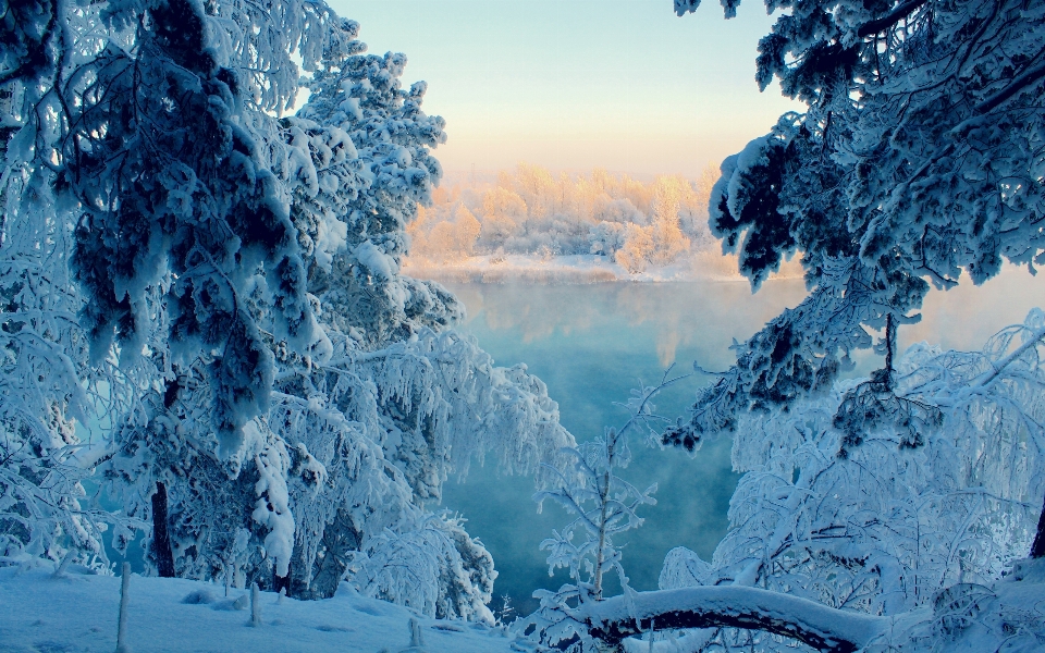 Winter snow sky landscape