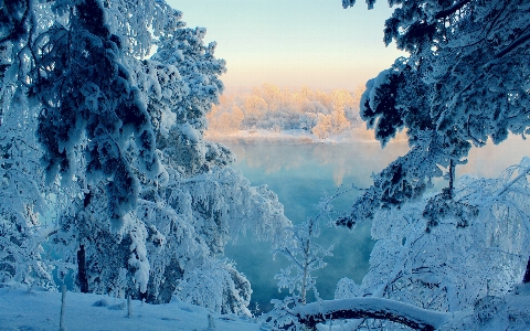 Winter snow sky landscape Photo