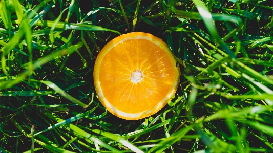 Citrus ingredient fruit tangerine Photo