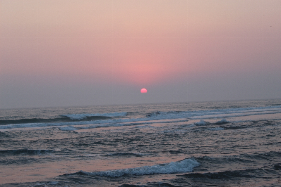 Veracruz meksika playa
 sahil