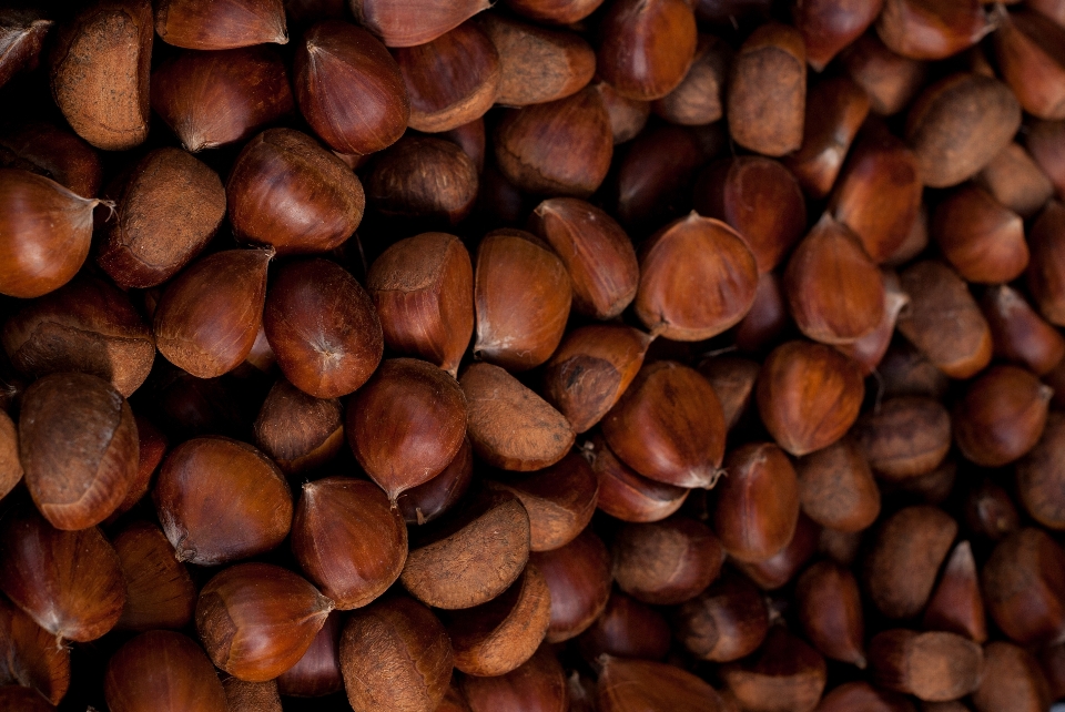 Pertanian antioksidan
 latar belakang cokelat