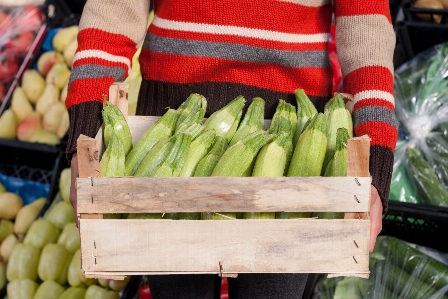 Crate zucchini food fresh Photo