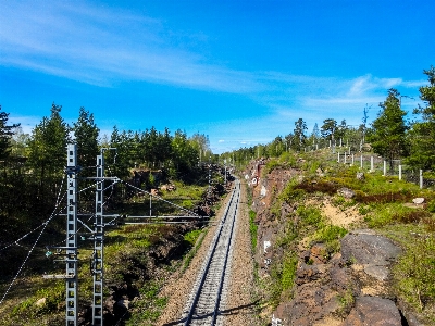 Train tracks rails railroad trees Photo