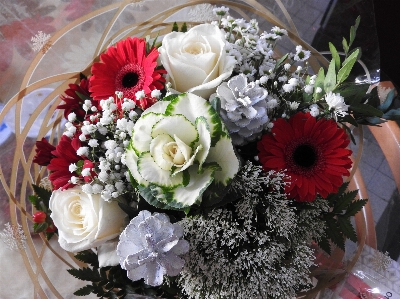 Bouquet of flowers nature red white Photo