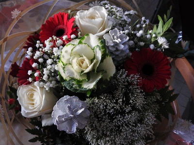 Bouquet of flowers nature red white Photo