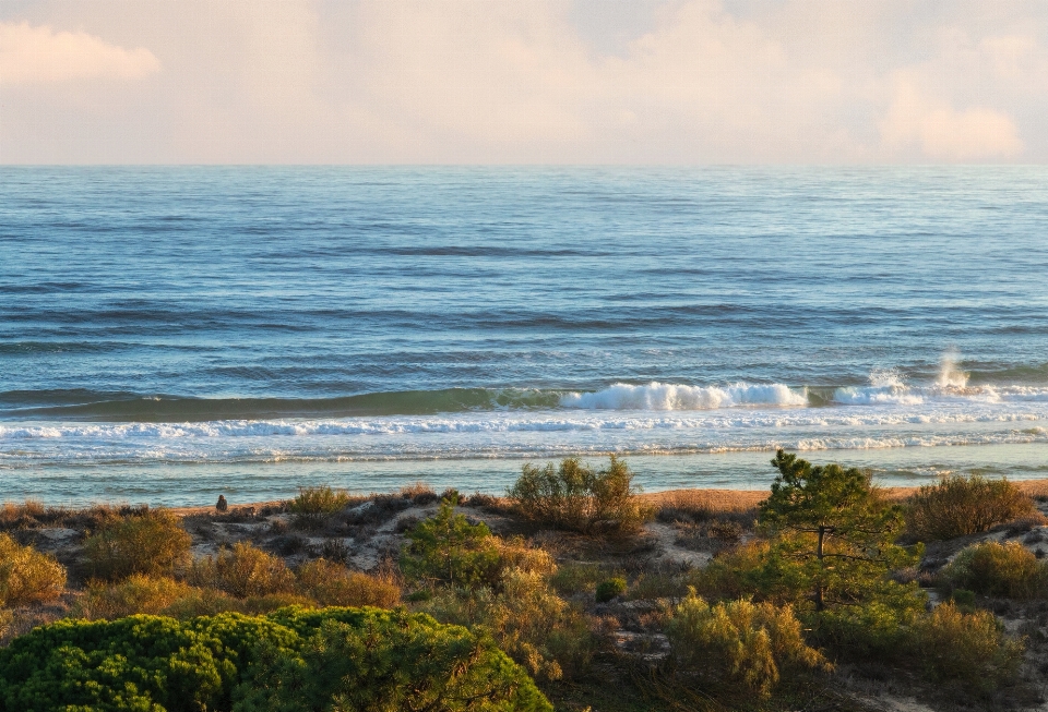 Oceano atlantico
 corpo d'acqua
 fluido