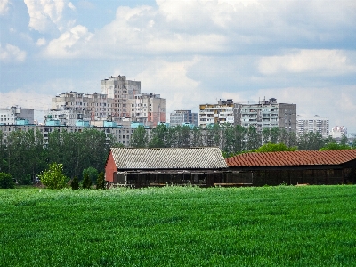 Field houses grass timiryazev agricultural academy Photo