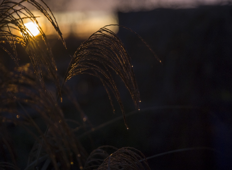 Tramonto natura piovere freddo