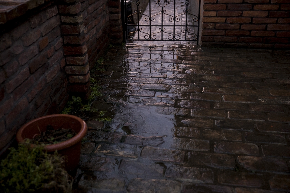 Rain cool brick nature