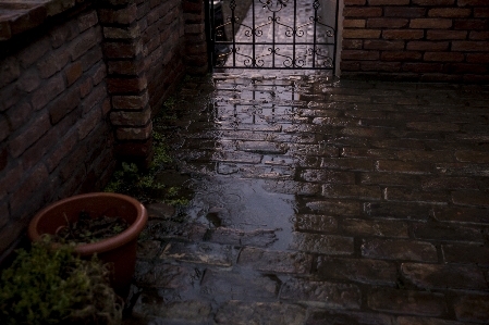 Rain cool brick nature Photo