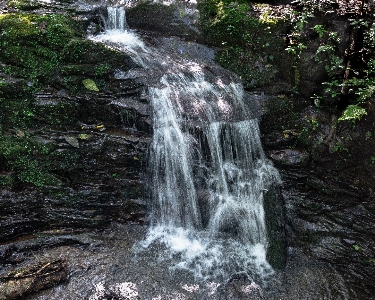 水 密林 シルク効果
 一生
 写真