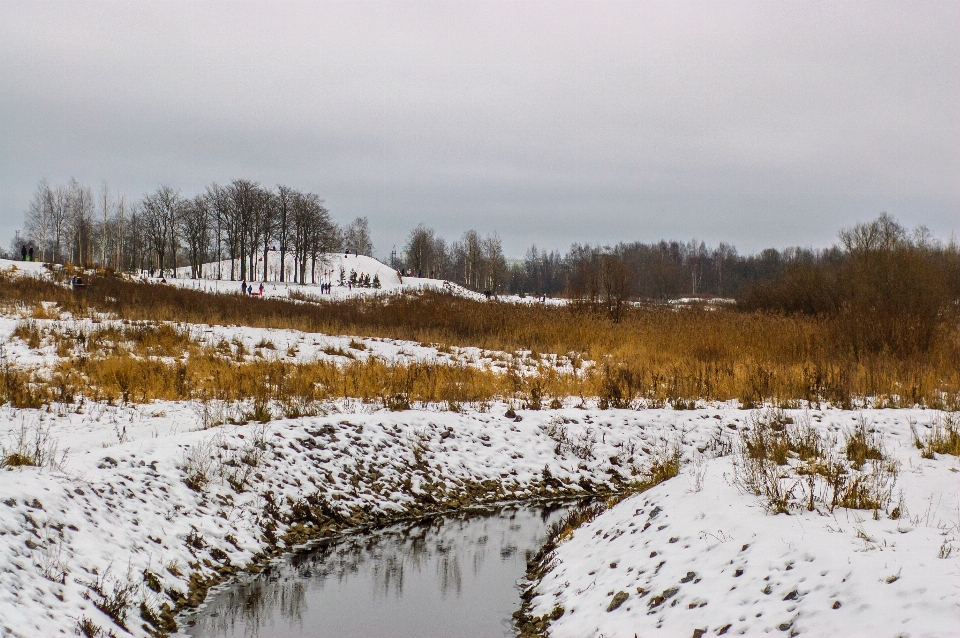 Image hiver gelé paysage naturel
