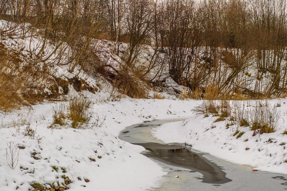 Bild winter einfrieren schnee