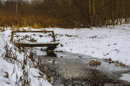 Image winter freezing natural landscape Photo