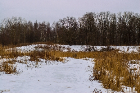 Bild winter natürliche landschaft
 einfrieren Foto