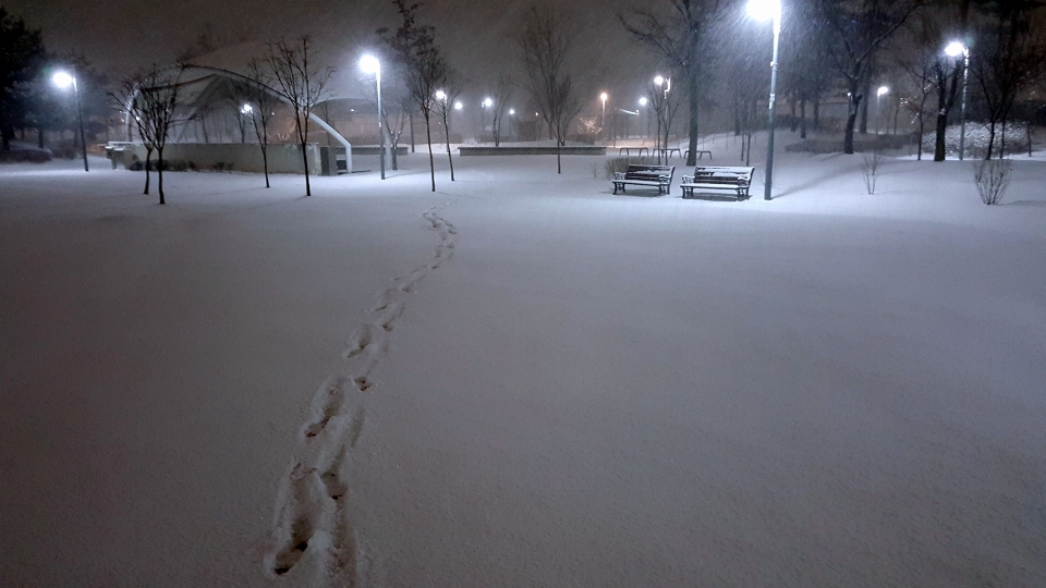 Averse de neige
 hiver corée bifurquer