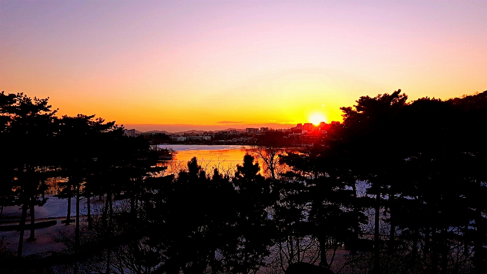 Lake suwon korea winter