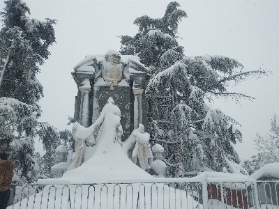 Winter snowy park trees monument Photo