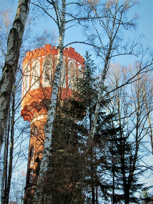 Wieża ciśnień las niebo