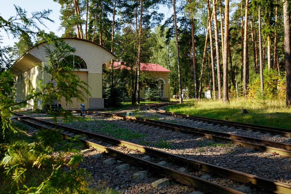 Ferrocarril de vía estrecha
 rieles oxidado primavera