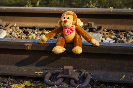 Narrow gauge railway rails rusty spring Photo