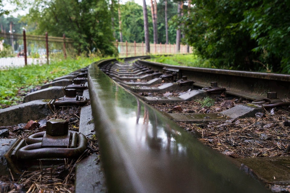 Ferrovia a scartamento ridotto
 rotaie arrugginito primavera