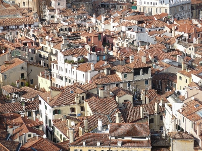 Roofs skylight ladder houses Photo