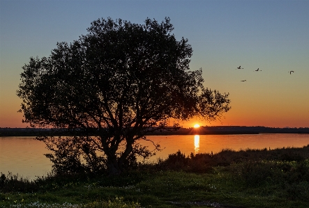 Sunset river body of water nature Photo